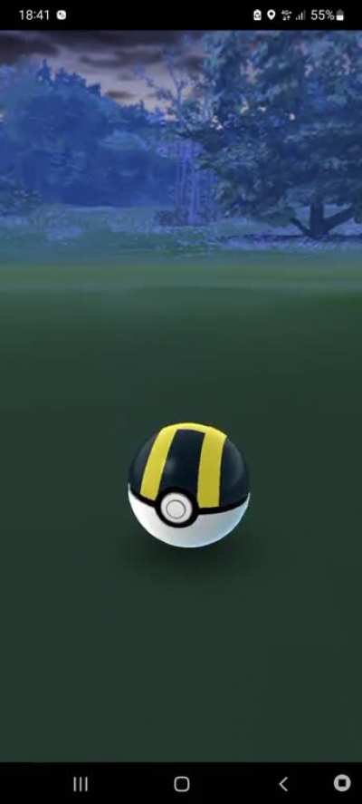The transform pokemon transformed