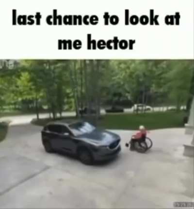 🛎🛎🛎