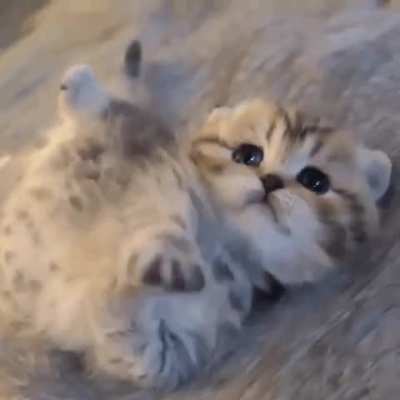 very tiny