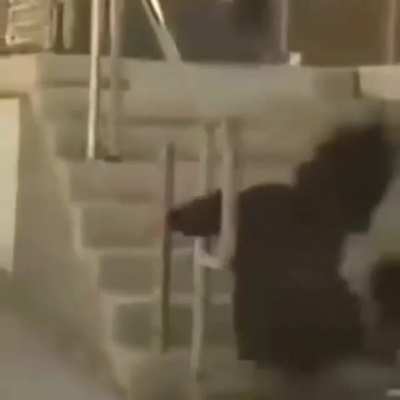 Plink