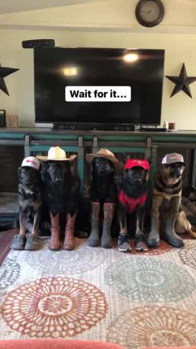 Does our 2nd boy count?!