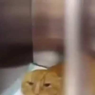 Not having a good time