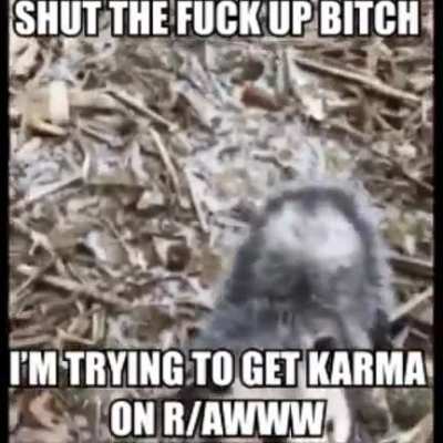 Rule