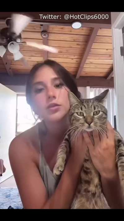 what a nice cat