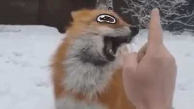 Boopz_irl