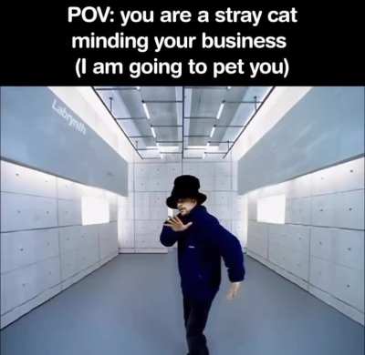miau