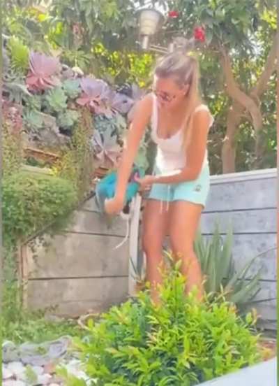 She mustn't trim the bush often..