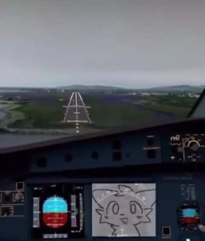 dawg wtf is my pilot doing we boutta crash 😭