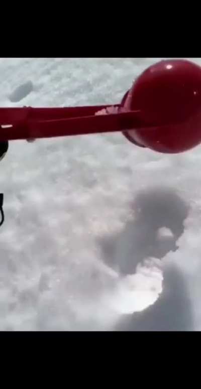 Perfect headshot