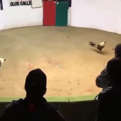 Whos the Cock now.