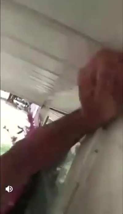 wasp removing