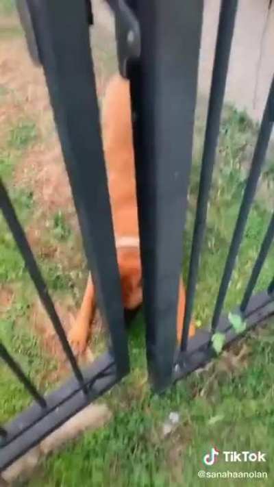 It's his house now