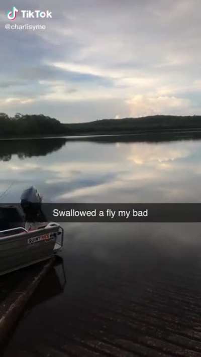 Taking in nature