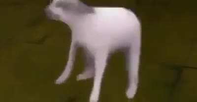 hes still alive