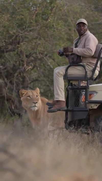 I definitely saw a lioness! Where the Hell did she go?! Oh s#*&yen;!