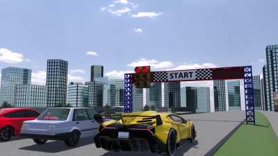 car race between wunks