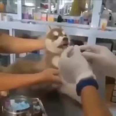 Wait for it...