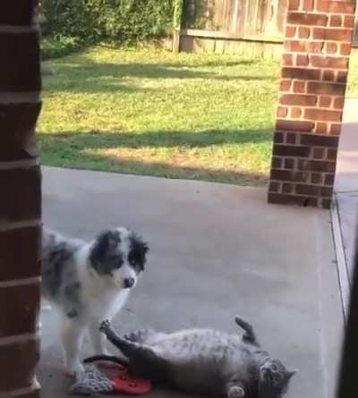 Hey guys, what are y`all doing ?