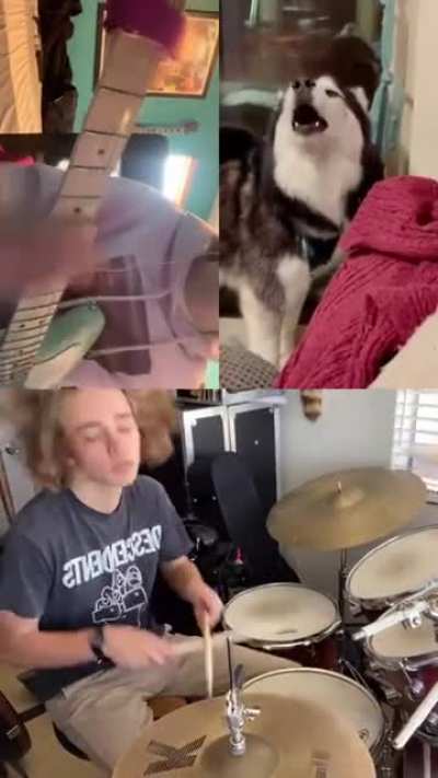 The Husky band 2021