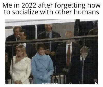 Brain.exe stopped