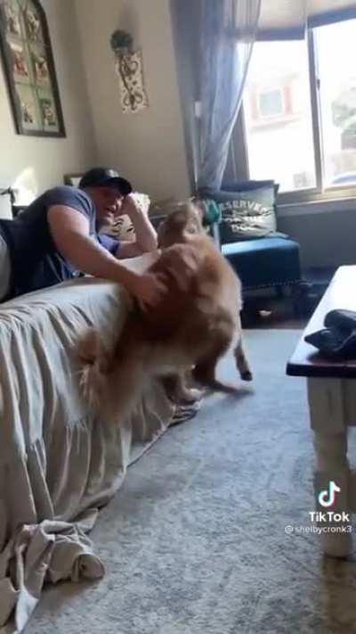 Butt rubs are his fav