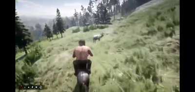 Dinkey the Donkey