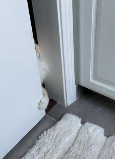 The trill of satisfaction from opening the door to the bathroom where I&rsquo;m at&hellip;