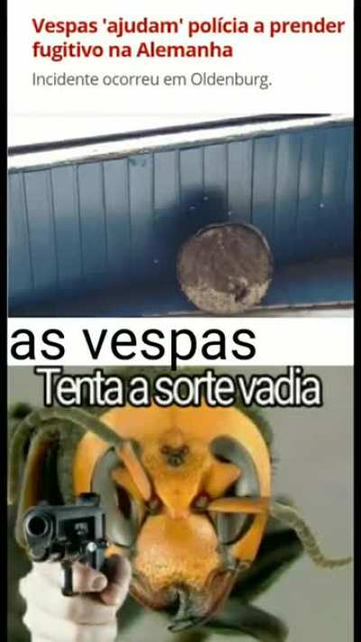Vem q tem