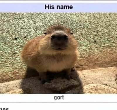 gort