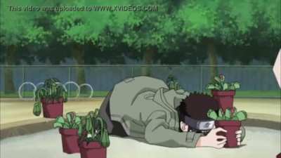 Hinata hyuga