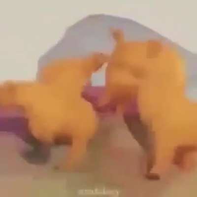 Title