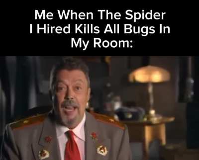 Praise Spez I Hate Spiders