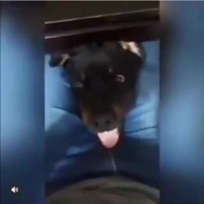 lindo