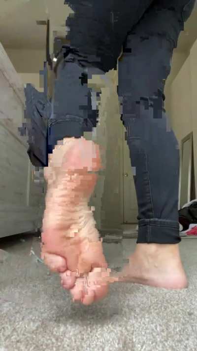 Avery Soles!
