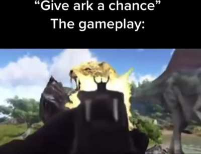 "Give ARK a chance"