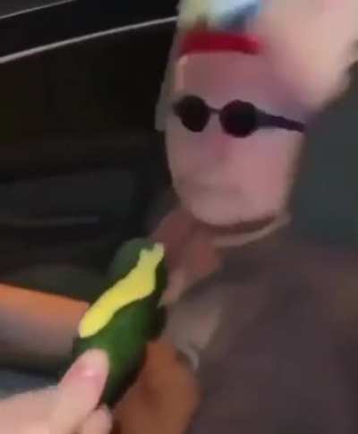 Pickle Rule
