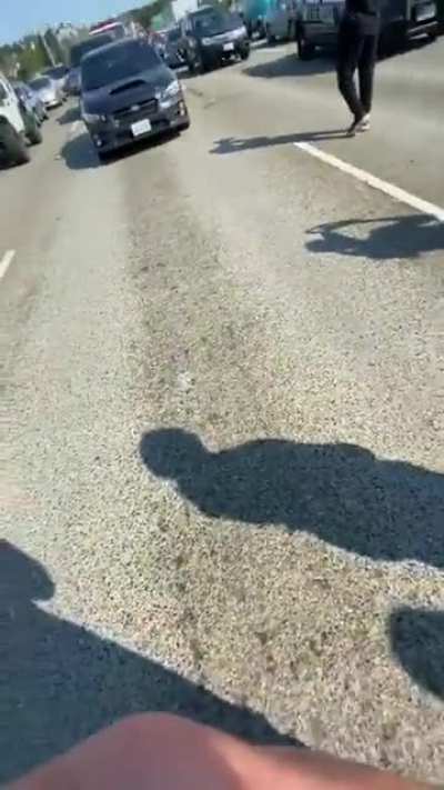 15 minutes of the protest on the freeway from protesting to arrest