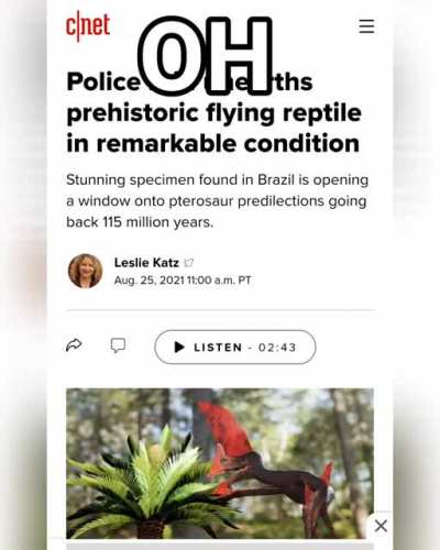THEY DID WHAT??