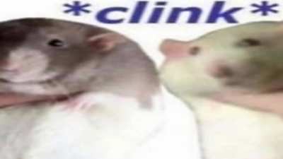 blursed_toast (OC)