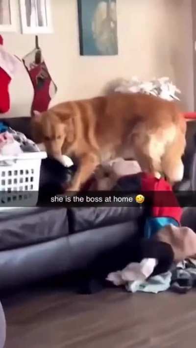 Boss&eth;