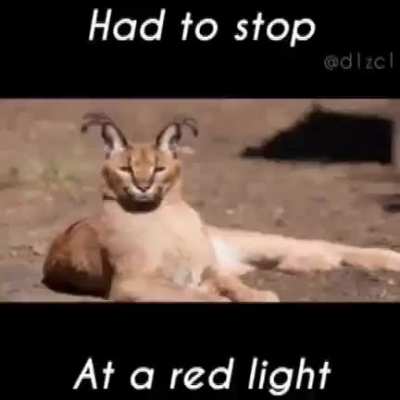 Rule