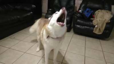 Song of my people