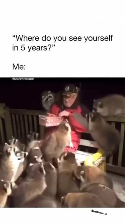 Nah now i want raccoon 🐦