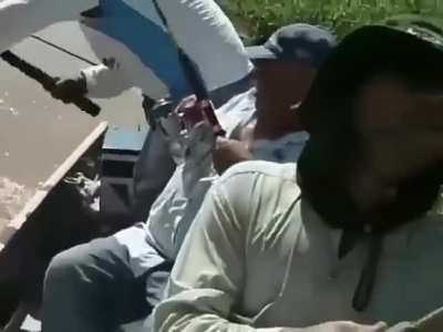 Ó O JACA 🐊🐊