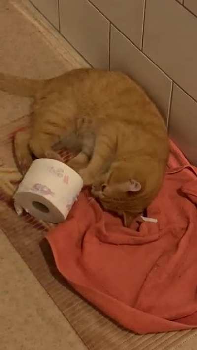 He really hates (scented) toilet paper