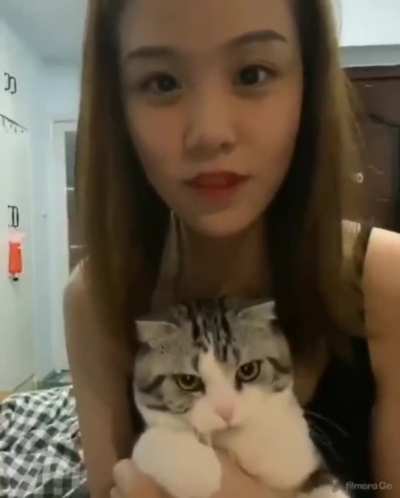 Just your regular hooman