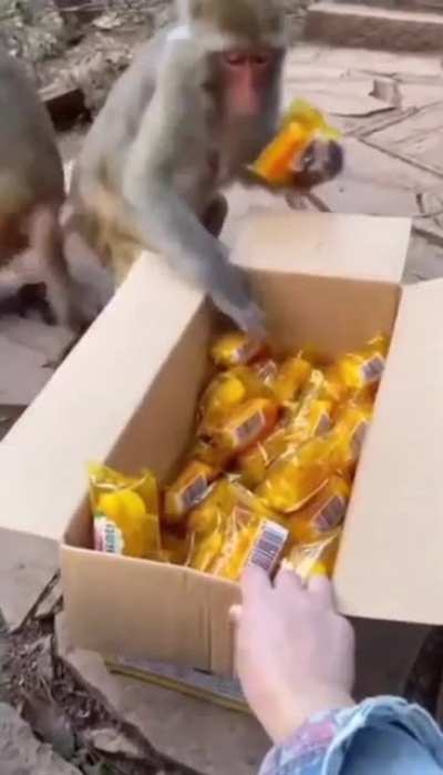 Grabbing freebies