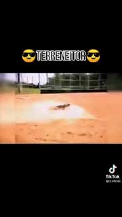Si o no? 😎