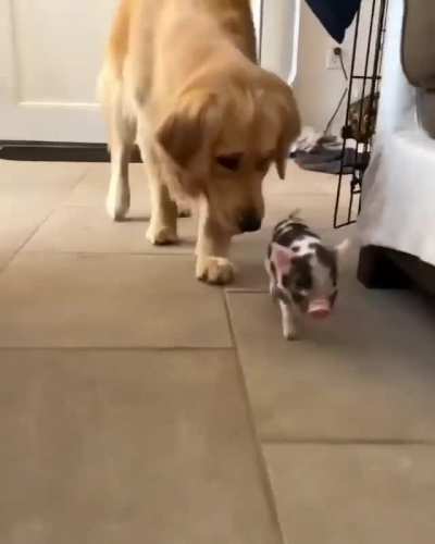 Best friends already