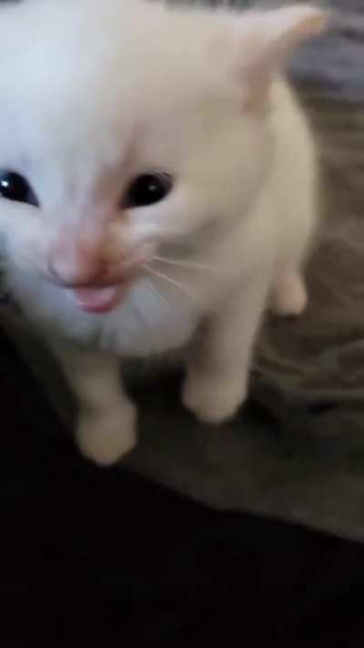 Hi Herbert